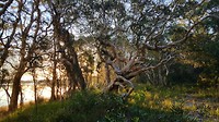 20190525_161550