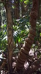 20190531_164547
