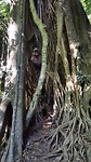 20190531_130556