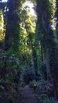 20190531_132840