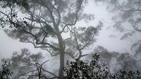 20190601_114454