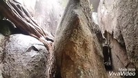 XiaoYing_Video_1559377426124_HD