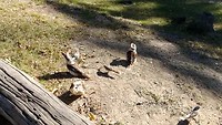 VID_20190606_094303563