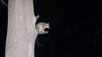 20190606_184611