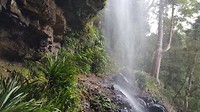 20190607_095452