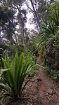 20190607_101918
