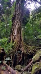 20190607_111624