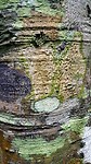 20190607_131639