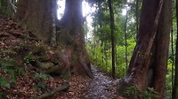 20190607_134005