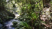 20190610_121541