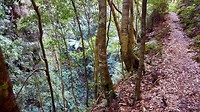 20190610_140236