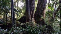 20190610_143354