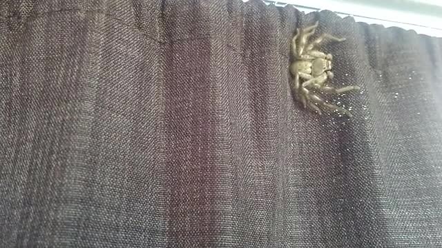 VID_20190618_091129455