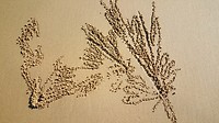 20190619_142329