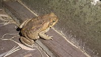 20190623_202823