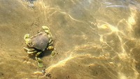 20190627_141005