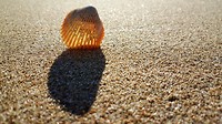 20190626_154211