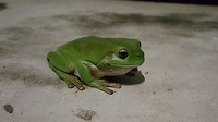 20190629_191247