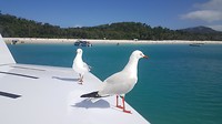 20190629_131340