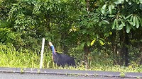 20190704_144206