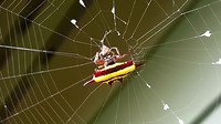 20190706_173041