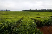 20190704_131724
