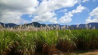 20190707_124409