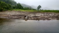 20190709_110611_001