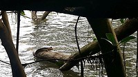 20190709_182647