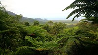 20190710_123059