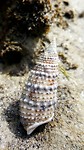 20190710_172527