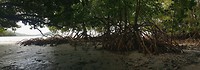 20190710_172908