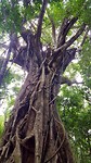 20190710_152042