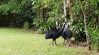 20190710_173235
