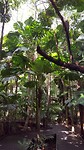 20190711_112532