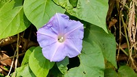 20190711_142254