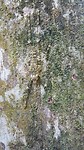20190711_150037