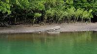 20190712_145451