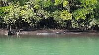 20190715_154028