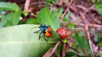 20190713_145814