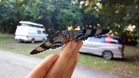 20190714_075501