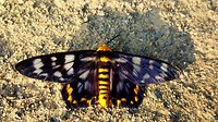 20190716_170731