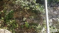 XiaoYing_Video_1565005173931_HD