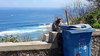20190807_200906