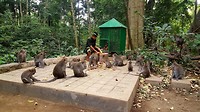 20190808_184215