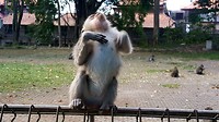 20190808_185511