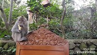 XiaoYing_Video_1565316346890_HD