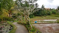20190809_134708