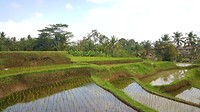 20190809_144648