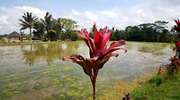 20190809_144926